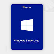Windows Server 2025 Standard Lifetime Key